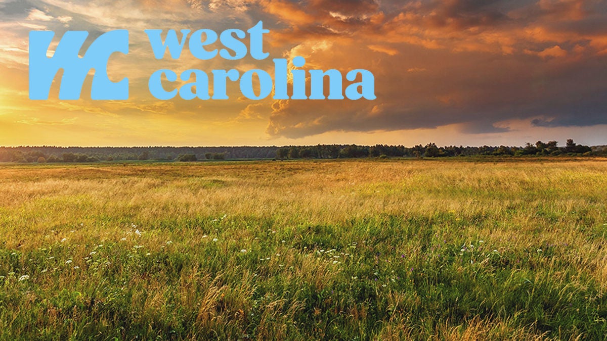 West Carolina Sunrise on a field covered with flowers in morning with clouds