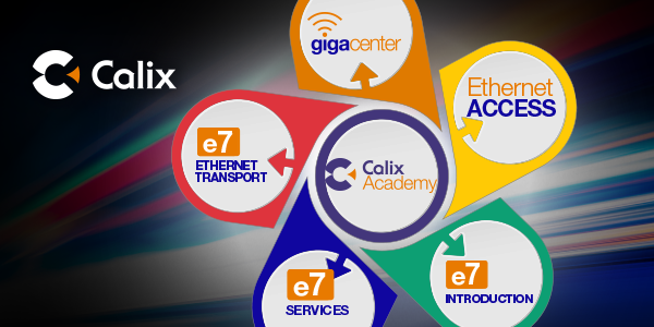 Calix Academy's top 5 leaning courses