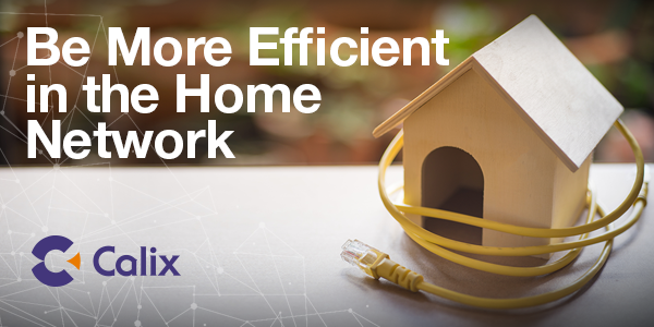 high speed fiber optic connection for home network