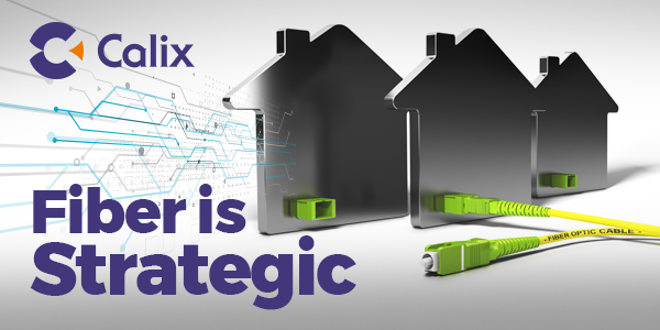 connecting the fiber to the home network