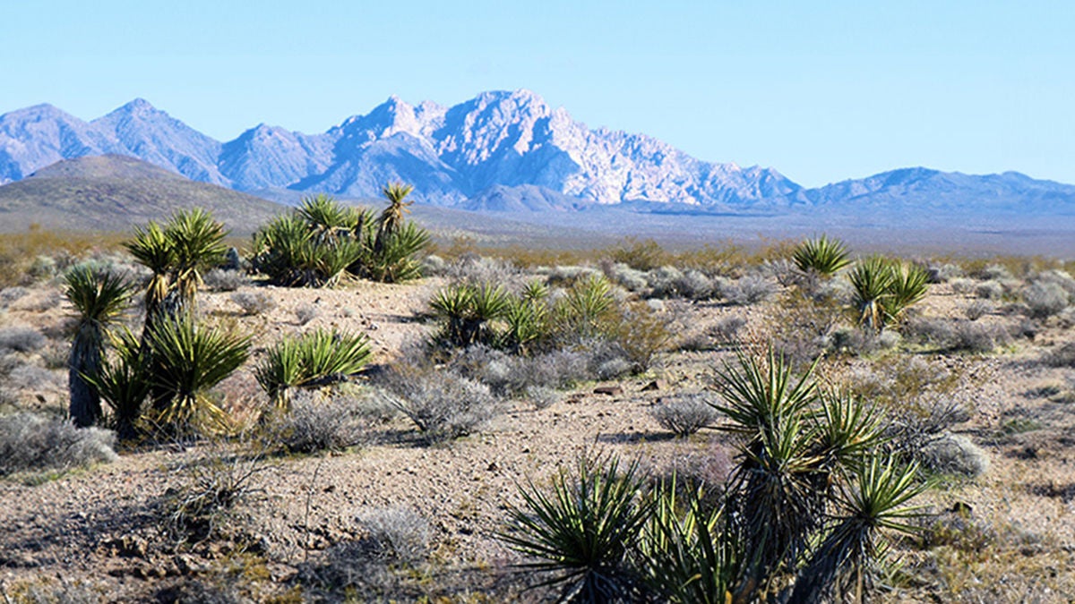 avi-kwa-ame-national-monument-desert-16-9 A desert landscape with mountains in the background