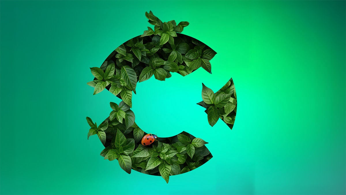 Calix C logo with leaves in it, symbolizing sustainability