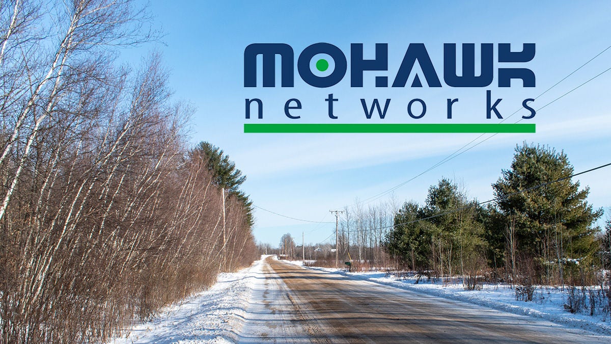 country road with trees on both sides and blue sky in the background in a winter