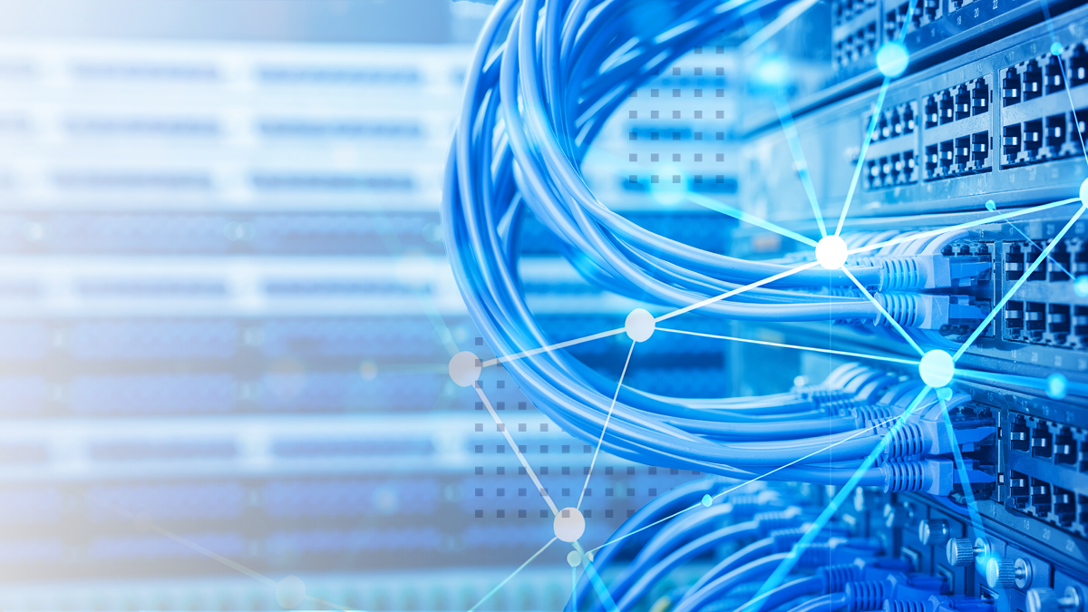 Close-up view of blue network cables connected to a server rack, with digital overlay lines suggesting data flow and connectivity
